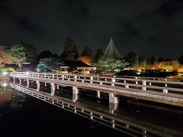 国営昭和記念公園 秋の夜散歩に投稿された画像（2023/11/23）