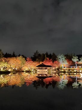 国営昭和記念公園 秋の夜散歩に投稿された画像（2023/11/23）