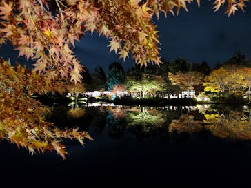 国営昭和記念公園 秋の夜散歩に投稿された画像（2023/11/23）