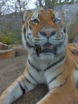 那須どうぶつ王国に投稿された画像（2023/11/11）