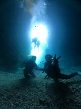 武藤潜水に投稿された画像（2023/11/23）