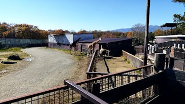 那須サファリパークに投稿された画像（2023/11/23）