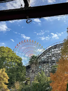 ひらかたパークに投稿された画像（2023/11/23）