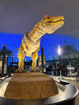 福井県立恐竜博物館に投稿された画像（2023/11/23）