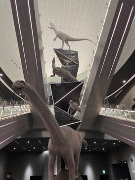 福井県立恐竜博物館に投稿された画像（2023/11/23）
