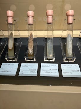 特別展「和食 ～日本の自然、人々の知恵～」に投稿された画像（2023/11/23）