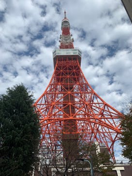 RED° 東京タワーに投稿された画像（2023/11/23）