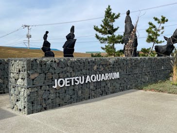 上越市立水族博物館 うみがたりに投稿された画像（2023/11/23）