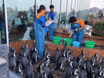 上越市立水族博物館 うみがたりに投稿された画像（2023/11/23）