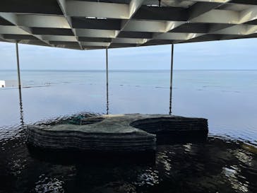 上越市立水族博物館 うみがたりに投稿された画像（2023/11/23）