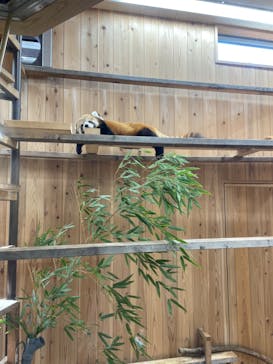 名古屋市東山動植物園に投稿された画像（2023/11/23）
