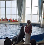 アクアワールド茨城県大洗水族館に投稿された画像（2023/11/23）