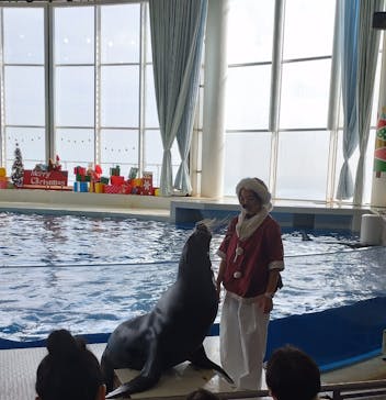 アクアワールド茨城県大洗水族館に投稿された画像（2023/11/23）