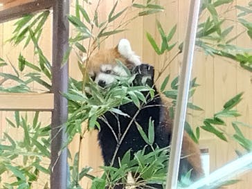 名古屋市東山動植物園に投稿された画像（2023/11/23）