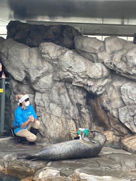 しながわ水族館に投稿された画像（2023/11/23）