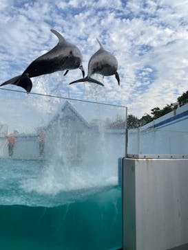 しながわ水族館に投稿された画像（2023/11/23）