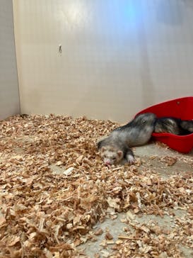 アニタッチアクアシティお台場に投稿された画像（2023/11/23）