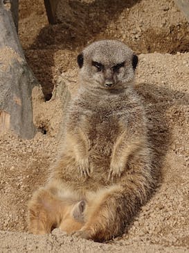 東武動物公園に投稿された画像（2023/11/23）