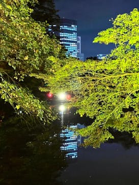 NAKED 紅葉の新宿御苑2023に投稿された画像（2023/11/23）