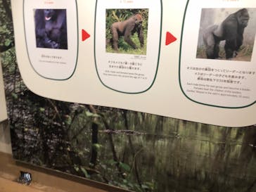 名古屋市東山動植物園に投稿された画像（2023/11/23）