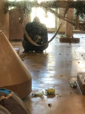 名古屋市東山動植物園に投稿された画像（2023/11/23）