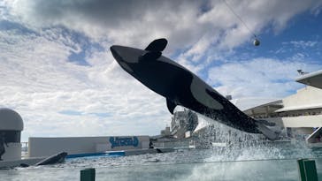 鴨川シーワールドに投稿された画像（2023/11/23）