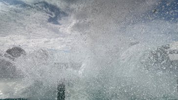 鴨川シーワールドに投稿された画像（2023/11/23）