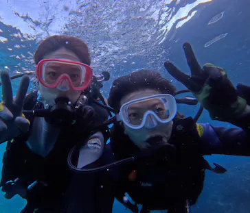 武藤潜水に投稿された画像（2023/11/23）