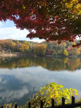 ムーミンバレーパークに投稿された画像（2023/11/23）