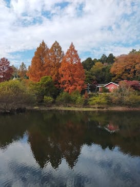 ムーミンバレーパークに投稿された画像（2023/11/23）