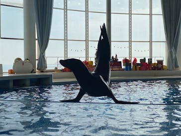 アクアワールド茨城県大洗水族館に投稿された画像（2023/11/23）
