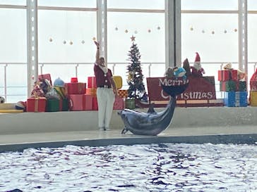 アクアワールド茨城県大洗水族館に投稿された画像（2023/11/23）