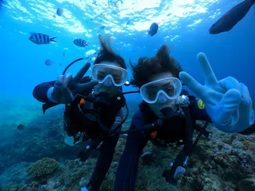 武藤潜水に投稿された画像（2023/11/23）