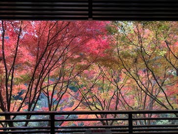 名古屋市東山動植物園に投稿された画像（2023/11/23）