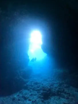 武藤潜水に投稿された画像（2023/11/23）