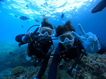 武藤潜水に投稿された画像（2023/11/23）