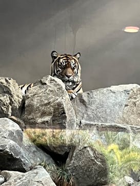 名古屋市東山動植物園に投稿された画像（2023/11/23）