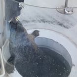 しながわ水族館に投稿された画像（2023/11/23）