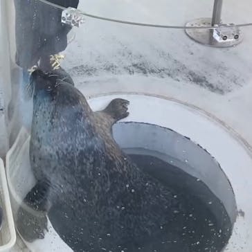 しながわ水族館に投稿された画像（2023/11/23）