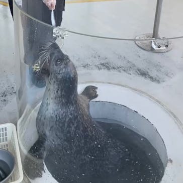 しながわ水族館に投稿された画像（2023/11/23）