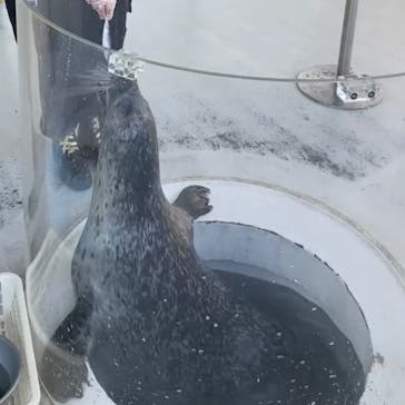 しながわ水族館に投稿された画像（2023/11/23）