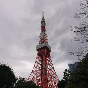 東京タワーバンジーVRに投稿された画像（2023/11/23）