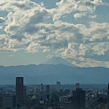 東京タワーバンジーVRに投稿された画像（2023/11/23）