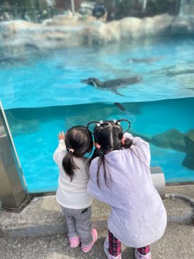 東武動物公園に投稿された画像（2023/11/23）