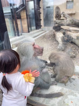 東武動物公園に投稿された画像（2023/11/23）