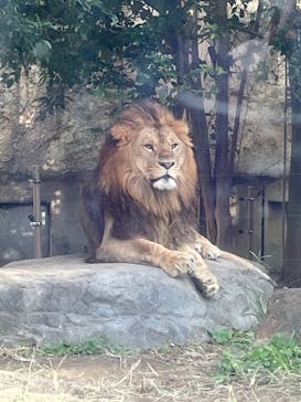東武動物公園に投稿された画像（2023/11/23）