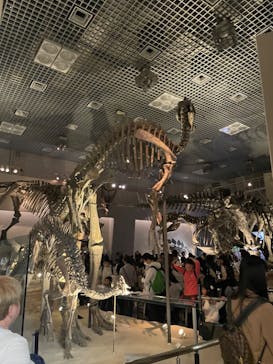 国立科学博物館に投稿された画像（2023/11/23）