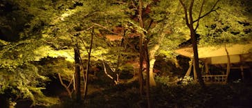 六義園に投稿された画像（2023/11/23）