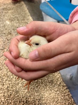 Moff animal world BIGHOPガーデンモール印西店に投稿された画像（2023/11/23）