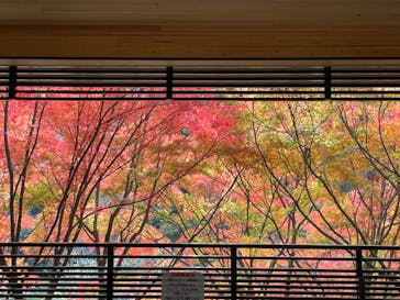 名古屋市東山動植物園に投稿された画像（2023/11/23）